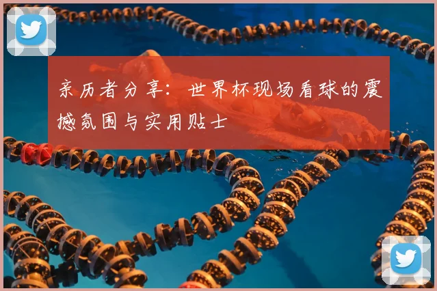 亲历者分享：世界杯现场看球的震撼氛围与实用贴士