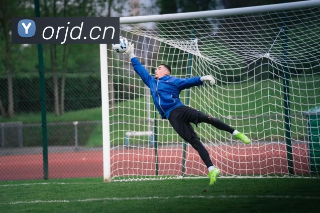 开云在线登录入口官网服务体系